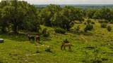 TBD County Road 105 - Photo 7