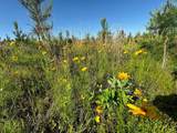 0 D4289 Road - Photo 3