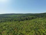 0 D4289 Road - Photo 9