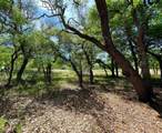 TBD (Lots 785, 786) Oak Point Drive - Photo 3