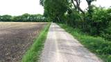 TBD County Road 4142 - Photo 11
