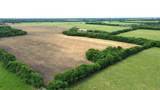 TBD County Road 4142 - Photo 13