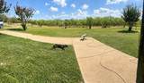 6960 Fm 937 - Photo 2