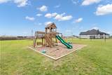 3401 Chinaberry Lane - Photo 31