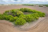TBD County Road 159 - Photo 1