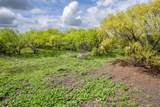 TBD County Road 159 - Photo 13