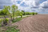 TBD County Road 159 - Photo 15