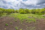 TBD County Road 159 - Photo 16