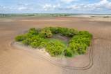 TBD County Road 159 - Photo 3