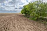 TBD County Road 159 - Photo 5