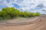 TBD County Road 159 - Photo 6