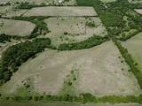 TBD 50 Acres Fm 1173 - Photo 3