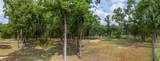 424 Hill Lane - Photo 15