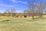 14771 Shearer Road - Photo 33