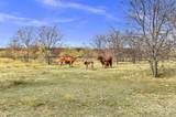 14771 Shearer Road - Photo 34