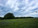 201 Campbell Lane - Photo 5