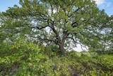 Lot 15 Double B Ranch Road - Photo 11