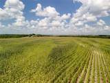 12.54 Acres | Tract  County Rd 3307 - Photo 2