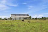 5241 Plainview Road - Photo 35