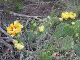 H31 Stagecoach Trail - Photo 5