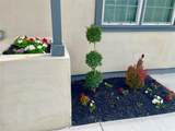414 Goodyear Street - Photo 5