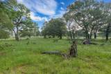 254 Guadalupe Drive - Photo 10