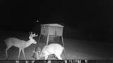 26820 Us Highway 377 - Photo 37