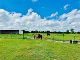 251 County Road 225 - Photo 34