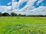 251 County Road 225 - Photo 39