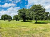 251 County Road 225 - Photo 9