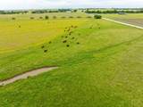1010 County Road 382 - Photo 25