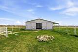 2436 Big Sky Trail - Photo 23