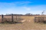 TBD Vz County Road 2317 30 Acres - Photo 13