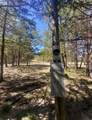 738 Fm 1184 - Photo 9