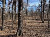 1255 Eagles Bluff Drive - Photo 7