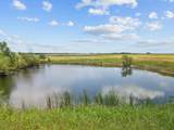 6464 County Road 1050 - Photo 3