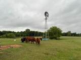 599 Lone Star - Photo 1