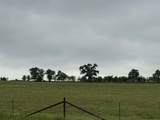 599 Lone Star - Photo 16