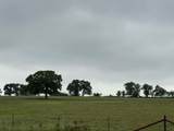 599 Lone Star - Photo 17