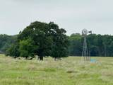 599 Lone Star - Photo 19