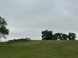 599 Lone Star - Photo 22
