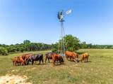 599 Lone Star - Photo 29
