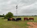 599 Lone Star - Photo 3