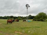 599 Lone Star - Photo 6