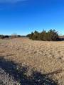 20 River Canyon Rh - Photo 16