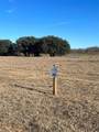20 River Canyon Rh - Photo 3