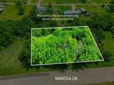 4507 Mimosa Drive - Photo 1