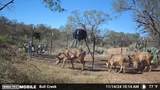 1853 County Road 220 - Photo 34