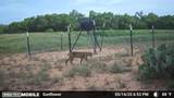 1853 County Road 220 - Photo 35