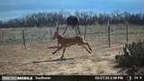 1853 County Road 220 - Photo 36